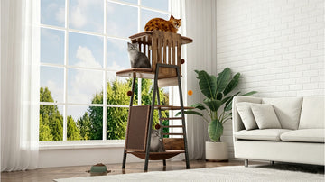 cat sitting on top of cat tree looking down