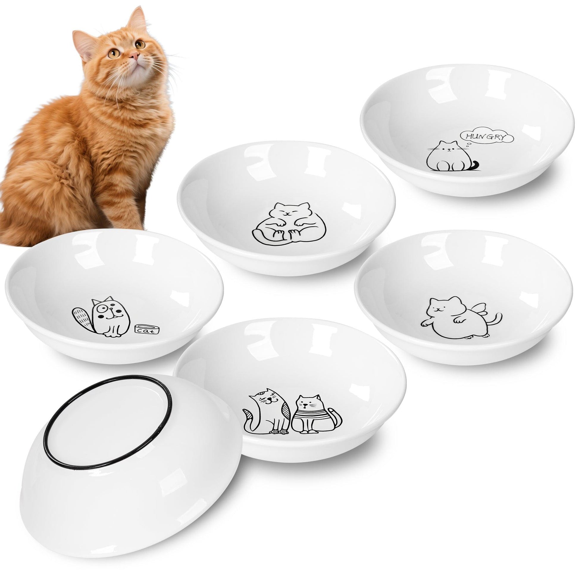 6 PCS Ceramic Cat Bowls – Shallow Anti-Whisker, Non-Slip Cat Food Dishes | KittyDine.