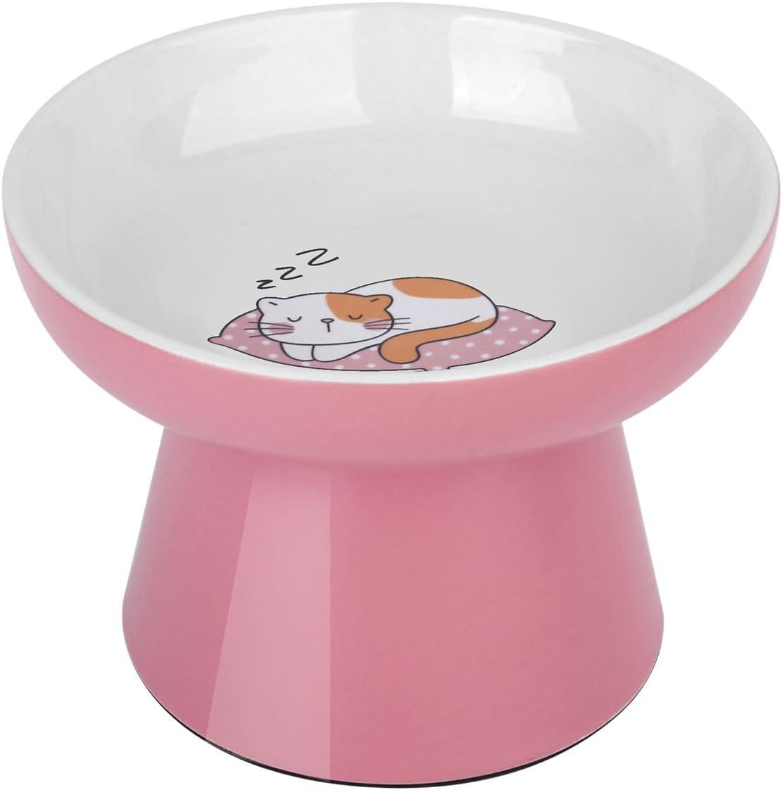 Cat Food and Water Bowl Set