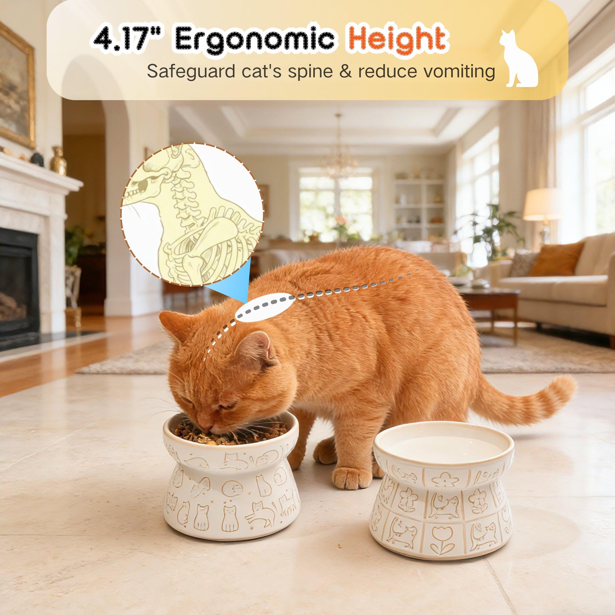 shallow ceramic cat bowls