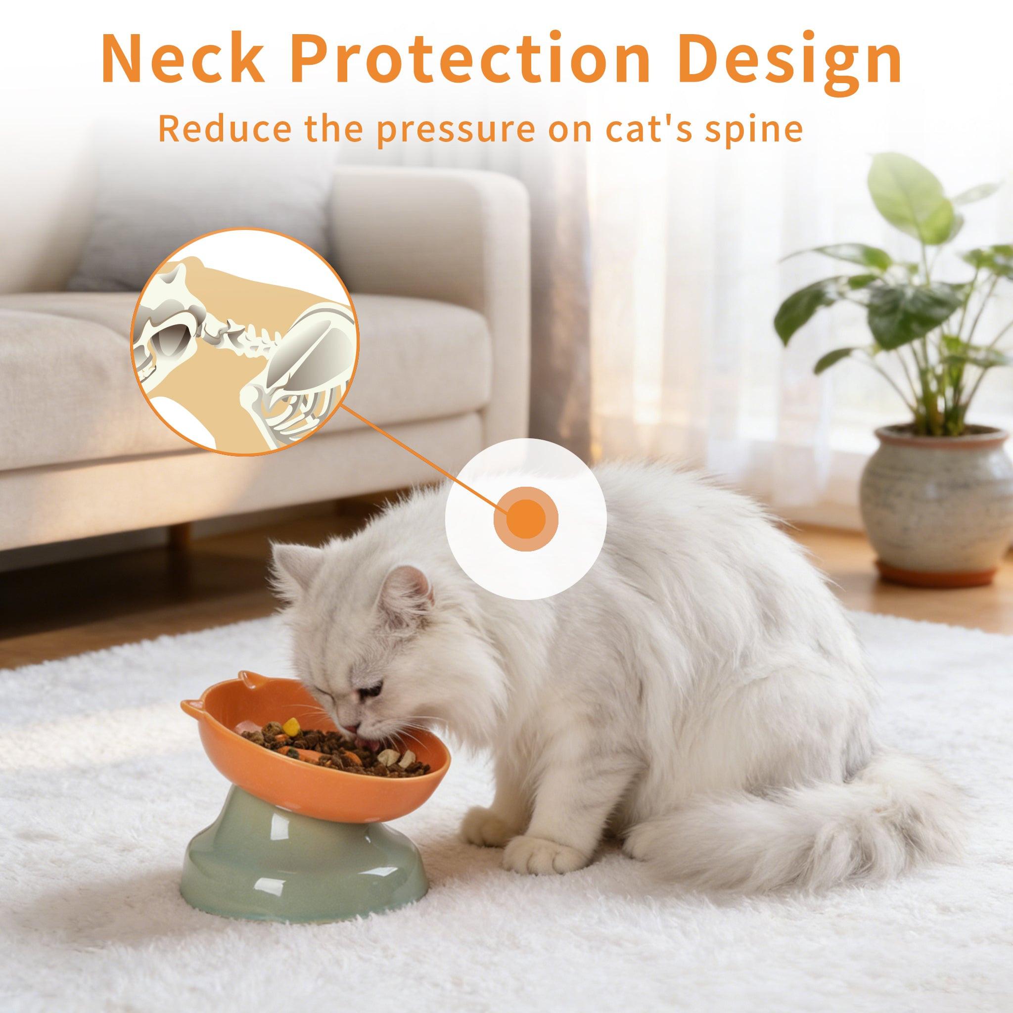 Slow Feeder Cat Bowl