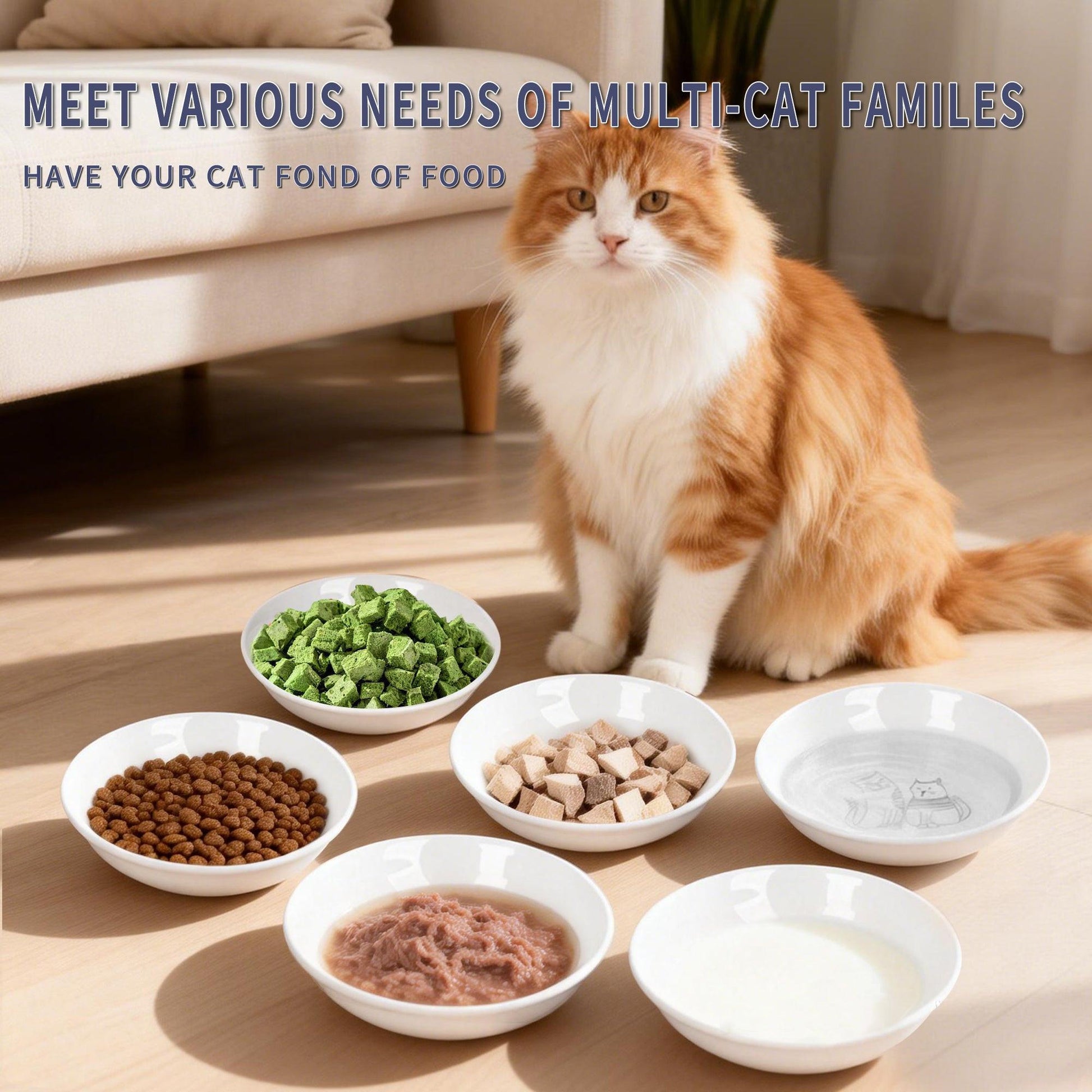 6 PCS Ceramic Cat Bowls – Shallow Anti-Whisker, Non-Slip Cat Food Dishes | KittyDine.