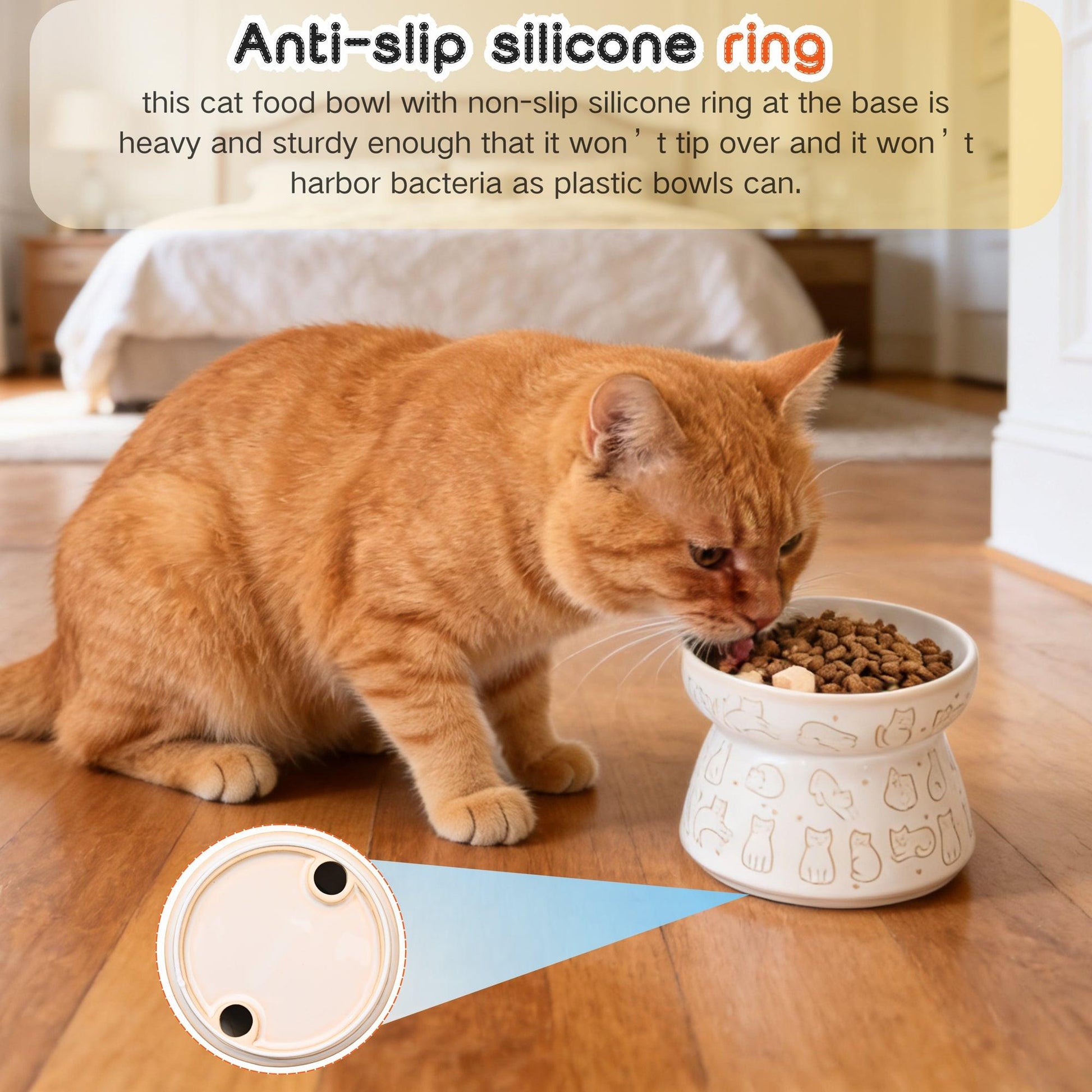 cat vomits after eating