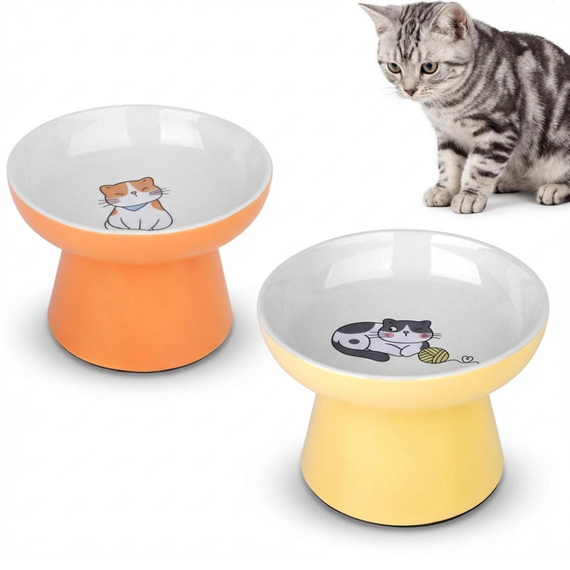 2 Pack Elevated Ceramic Cat Food Bowls – Whisker Friendly, Non-Slip, Anti-Vomiting | KittyDine.