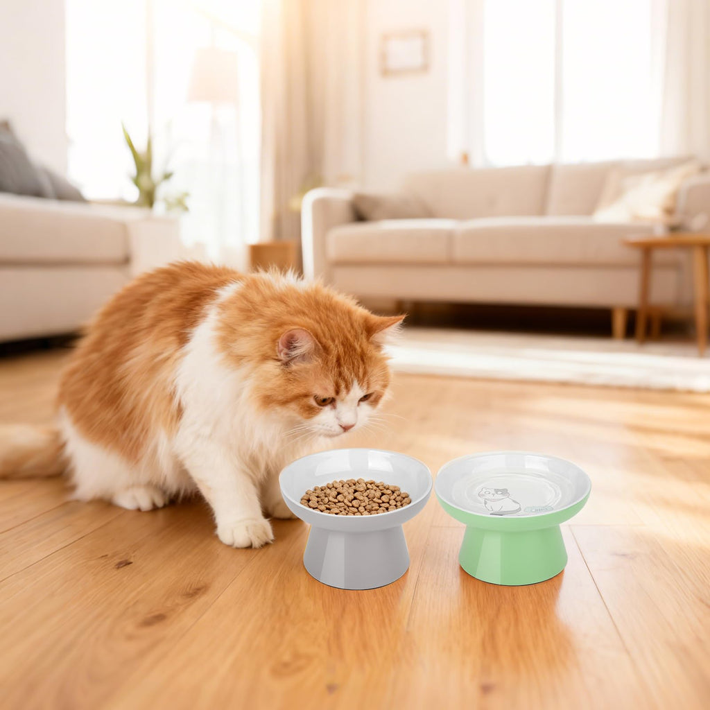 Elevated Cat Bowls,2 Pcs Ceramic Raised Cat Food Bowls with Non-Slip Base,Whisker-Friendly Shallow Design,Lead & Cadmium Free Pet Feeder,Dishwasher and Microwave Safe (Pink&Blue)