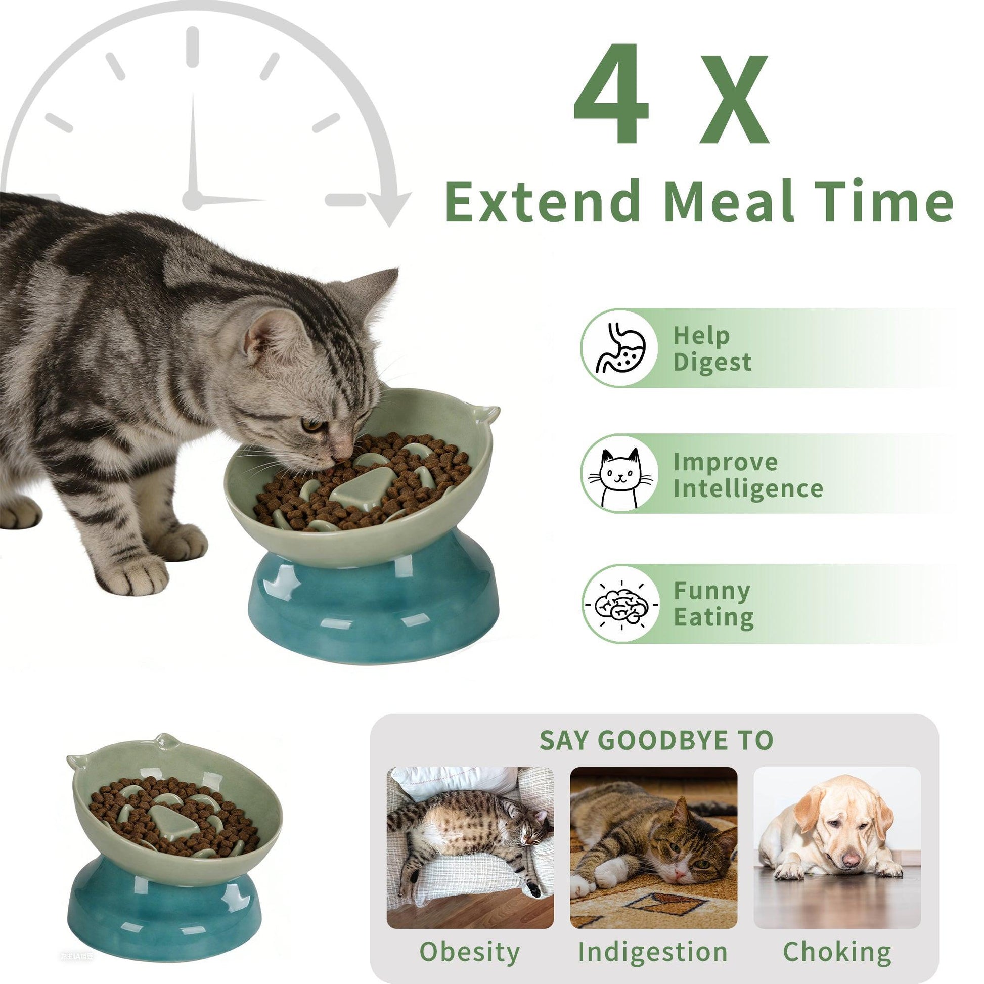 Slow Feeder Cat Bowl