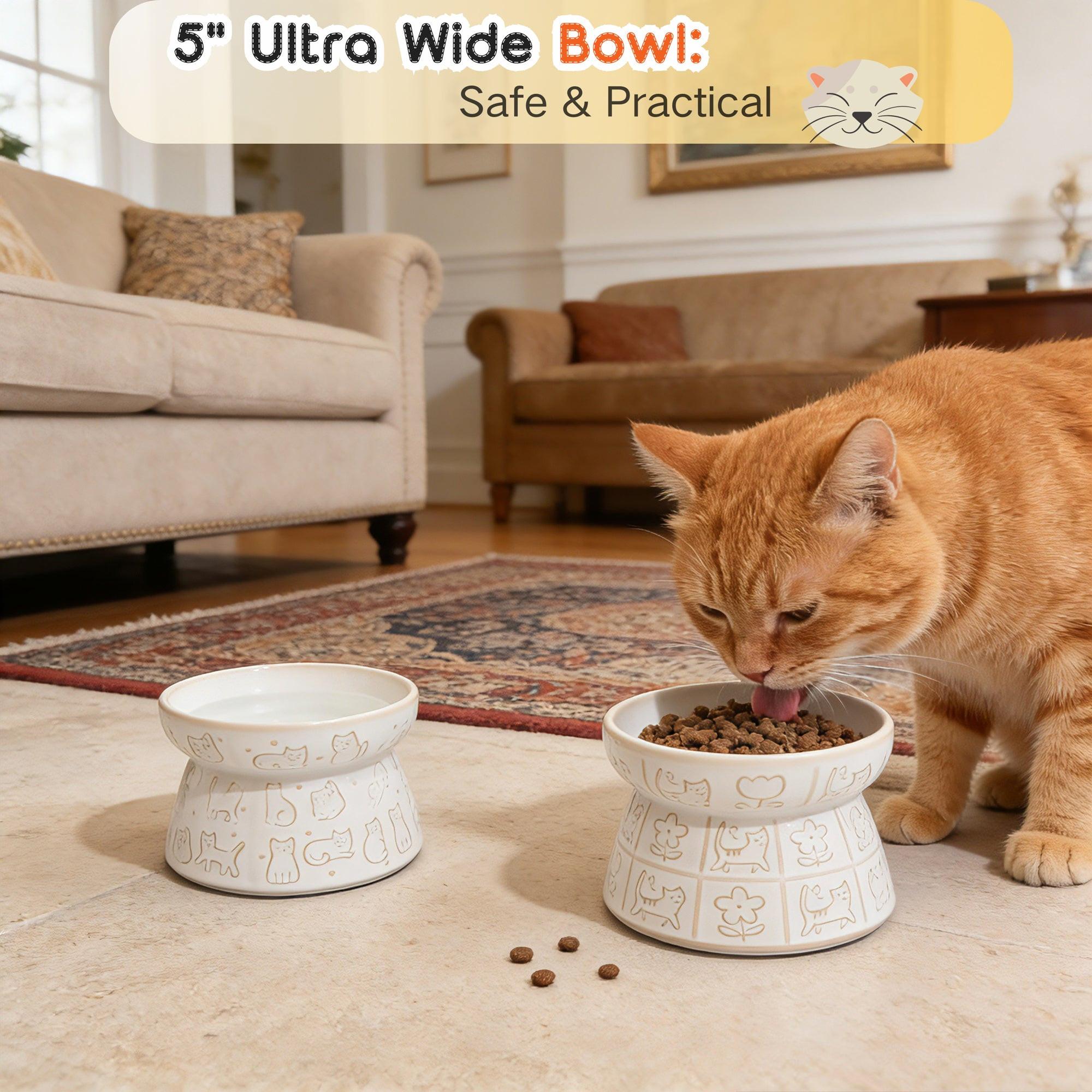 cat bowls for whisker fatigue