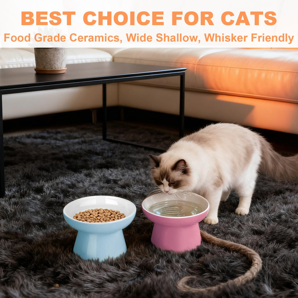 Elevated Cat Bowls,2 Pcs Ceramic Raised Cat Food Bowls with Non-Slip Base,Whisker-Friendly Shallow Design,Lead & Cadmium Free Pet Feeder,Dishwasher and Microwave Safe (Pink&Blue)