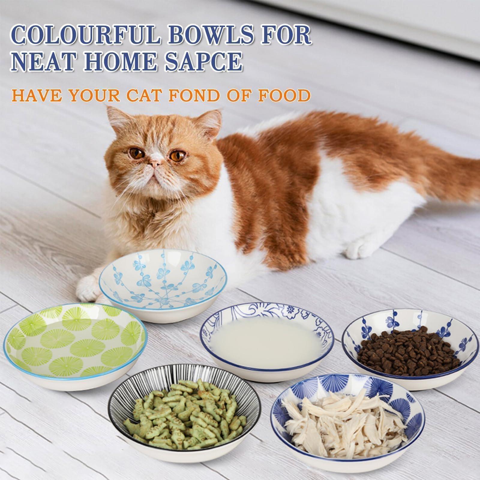 6PCS Ceramic Cat Food Bowls – Whisker Friendly, Non-Slip, Wide Shallow 5.75" | KittyDine.