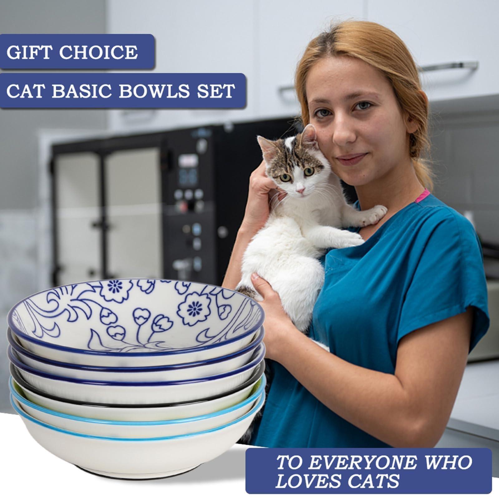 6PCS Ceramic Cat Food Bowls – Whisker Friendly, Non-Slip, Wide Shallow 5.75" | KittyDine.