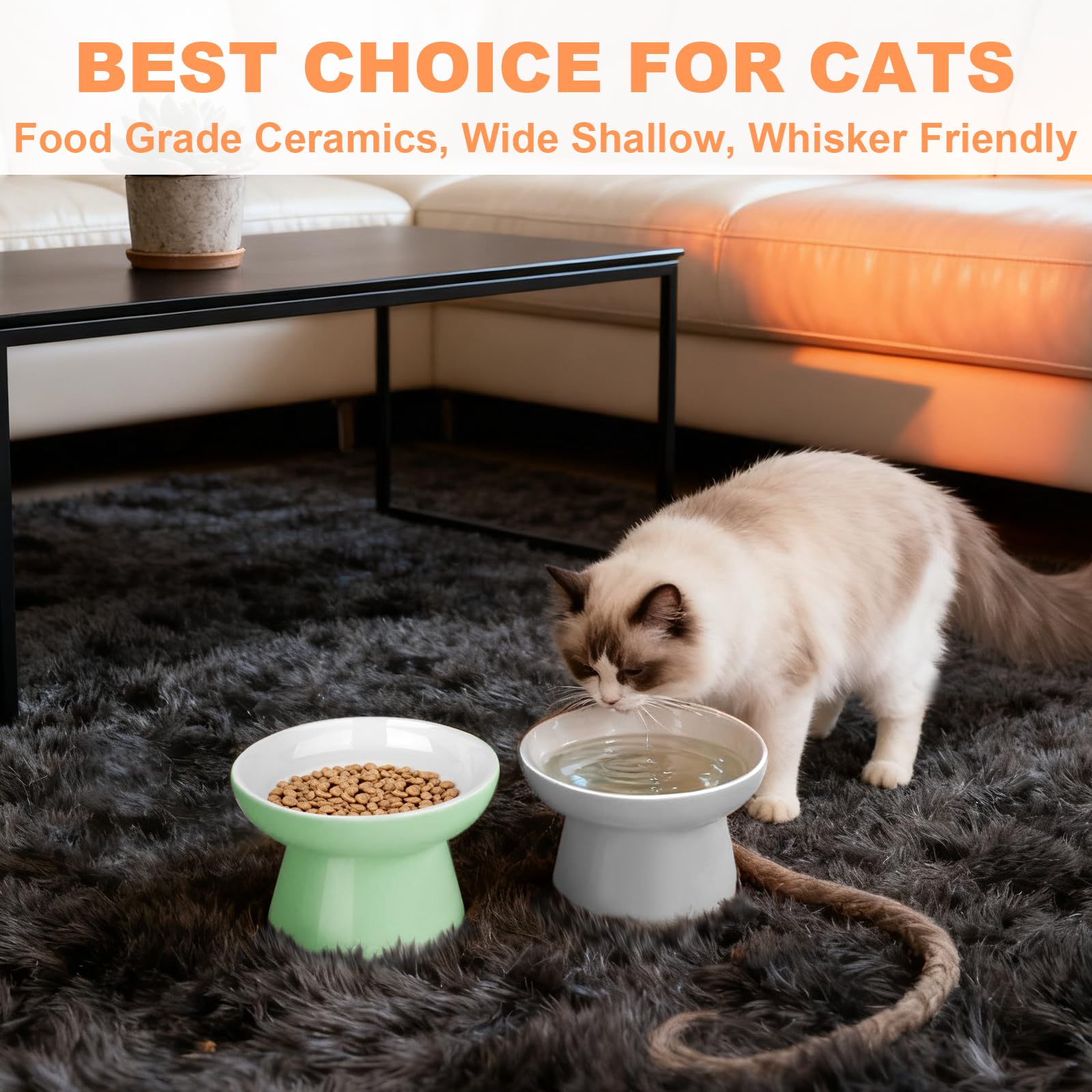 Elevated Cat Bowls,2 Pcs Ceramic Raised Cat Food Bowls with Non-Slip Base,Whisker-Friendly Shallow Design,Lead & Cadmium Free Pet Feeder,Dishwasher and Microwave Safe (Pink&Blue)