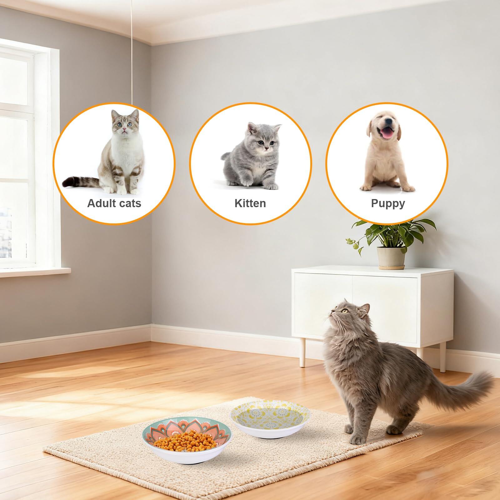 6PCS Ceramic Cat Food Bowls – Whisker Friendly, Non-Slip, Wide Shallow 5.75" | KittyDine.
