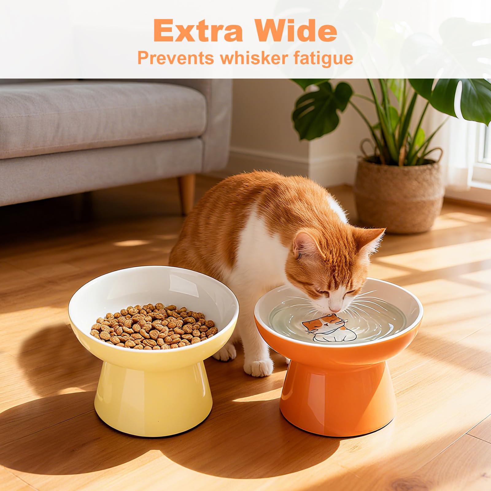 2 Pack Elevated Ceramic Cat Food Bowls – Whisker Friendly, Non-Slip, Anti-Vomiting | KittyDine.