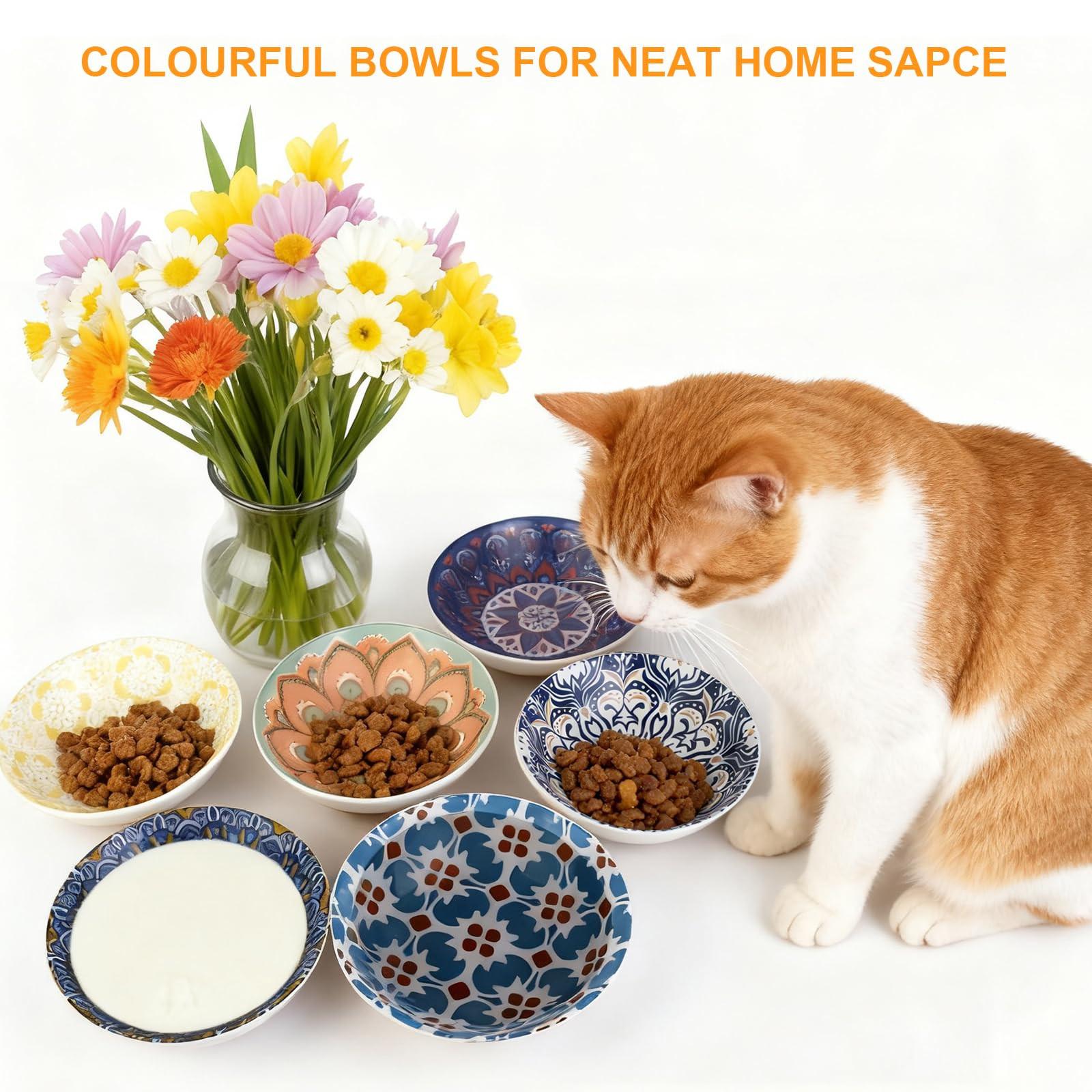 6PCS Ceramic Cat Food Bowls – Whisker Friendly, Non-Slip, Wide Shallow 5.75" | KittyDine.