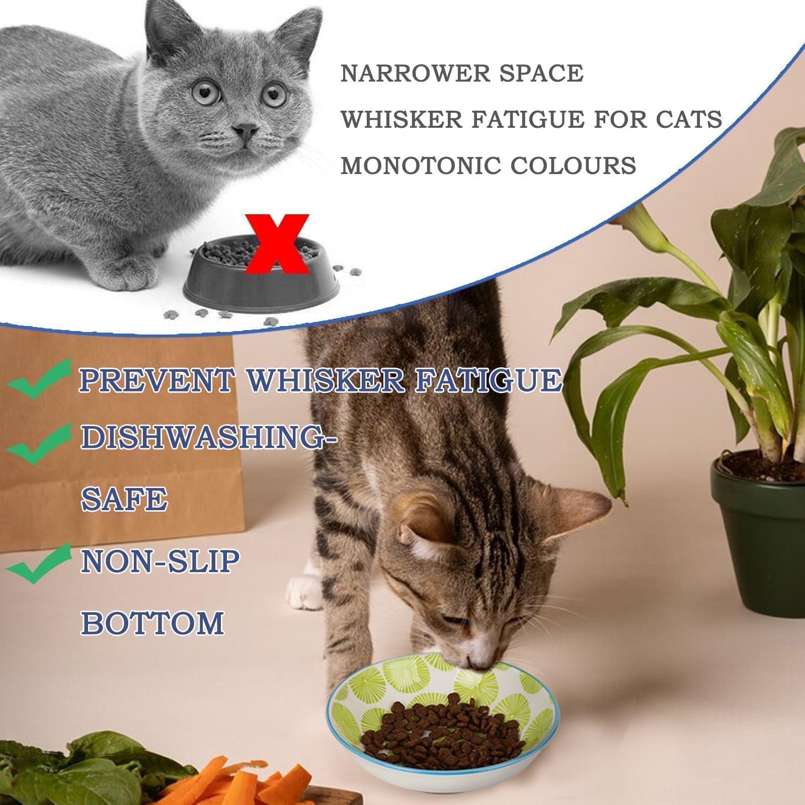 6PCS Ceramic Cat Food Bowls – Whisker Friendly, Non-Slip, Wide Shallow 5.75" | KittyDine.