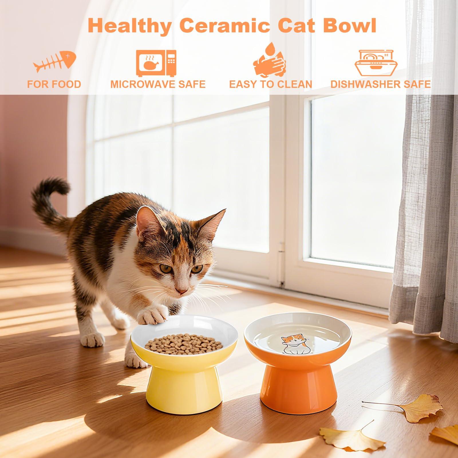 2 Pack Elevated Ceramic Cat Food Bowls – Whisker Friendly, Non-Slip, Anti-Vomiting | KittyDine.