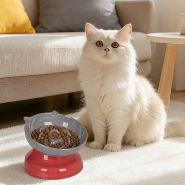 Slow Feeder Cat Bowl 