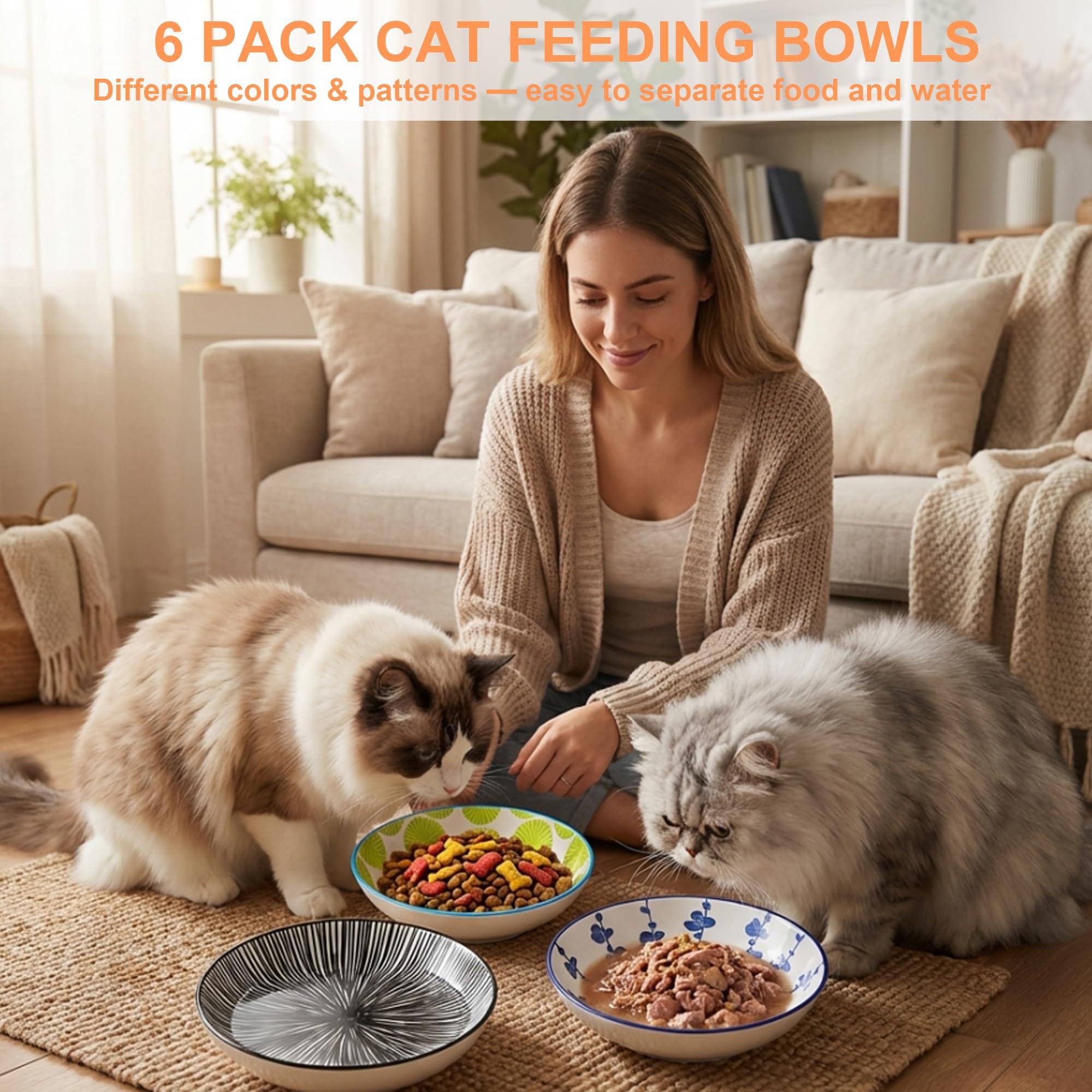 6PCS Ceramic Cat Food Bowls – Whisker Friendly, Non-Slip, Wide Shallow 5.75" | KittyDine.