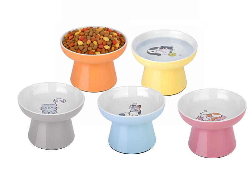 Cat Food and Water Bowl Set