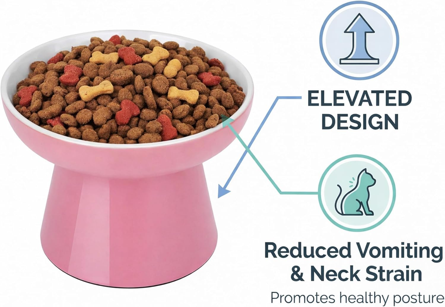 shallow ceramic cat bowls