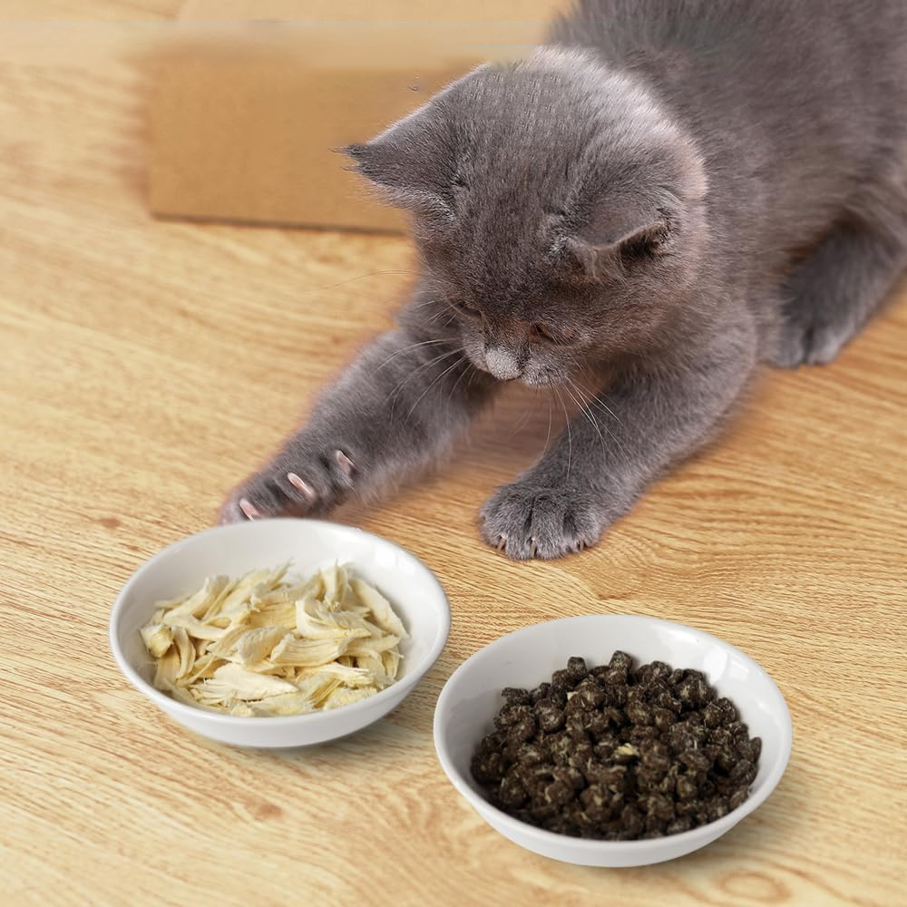 2PCS 5" Ceramic Cat Food Bowls – Whisker Friendly, Non-Slip, Dishwasher Safe | KittyDine.