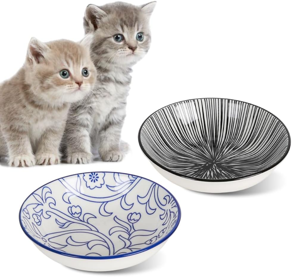 cat bowls for whisker fatigue