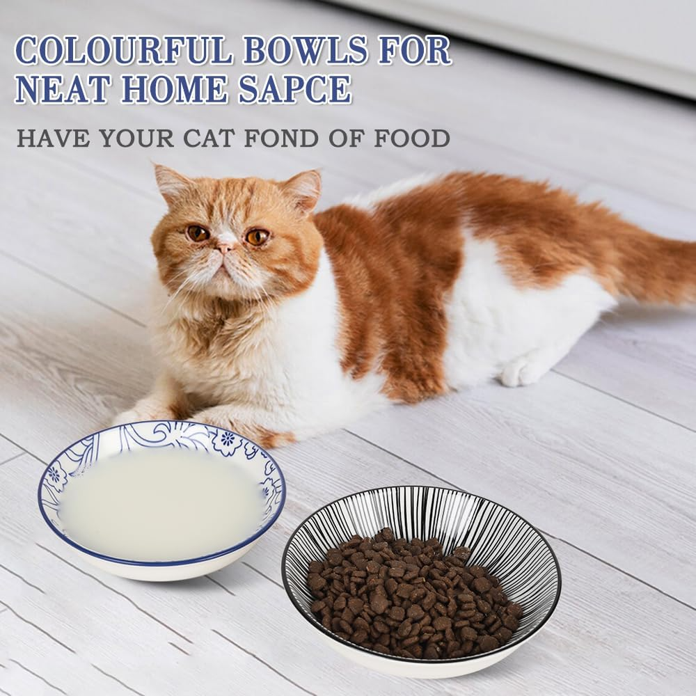 2PCS Wide Shallow Ceramic Cat Food Bowls – Whisker Friendly | KittyDine.