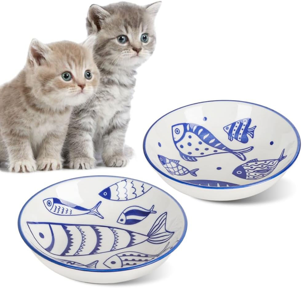 2PCS Wide Shallow Ceramic Cat Food Bowls – Whisker Friendly | KittyDine.