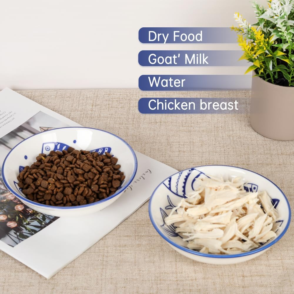 2PCS Wide Shallow Ceramic Cat Food Bowls – Whisker Friendly | KittyDine.