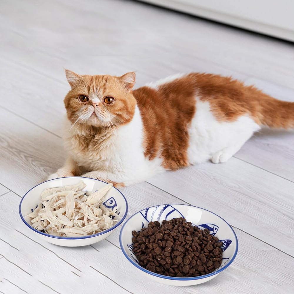 2PCS Wide Shallow Ceramic Cat Food Bowls – Whisker Friendly | KittyDine.