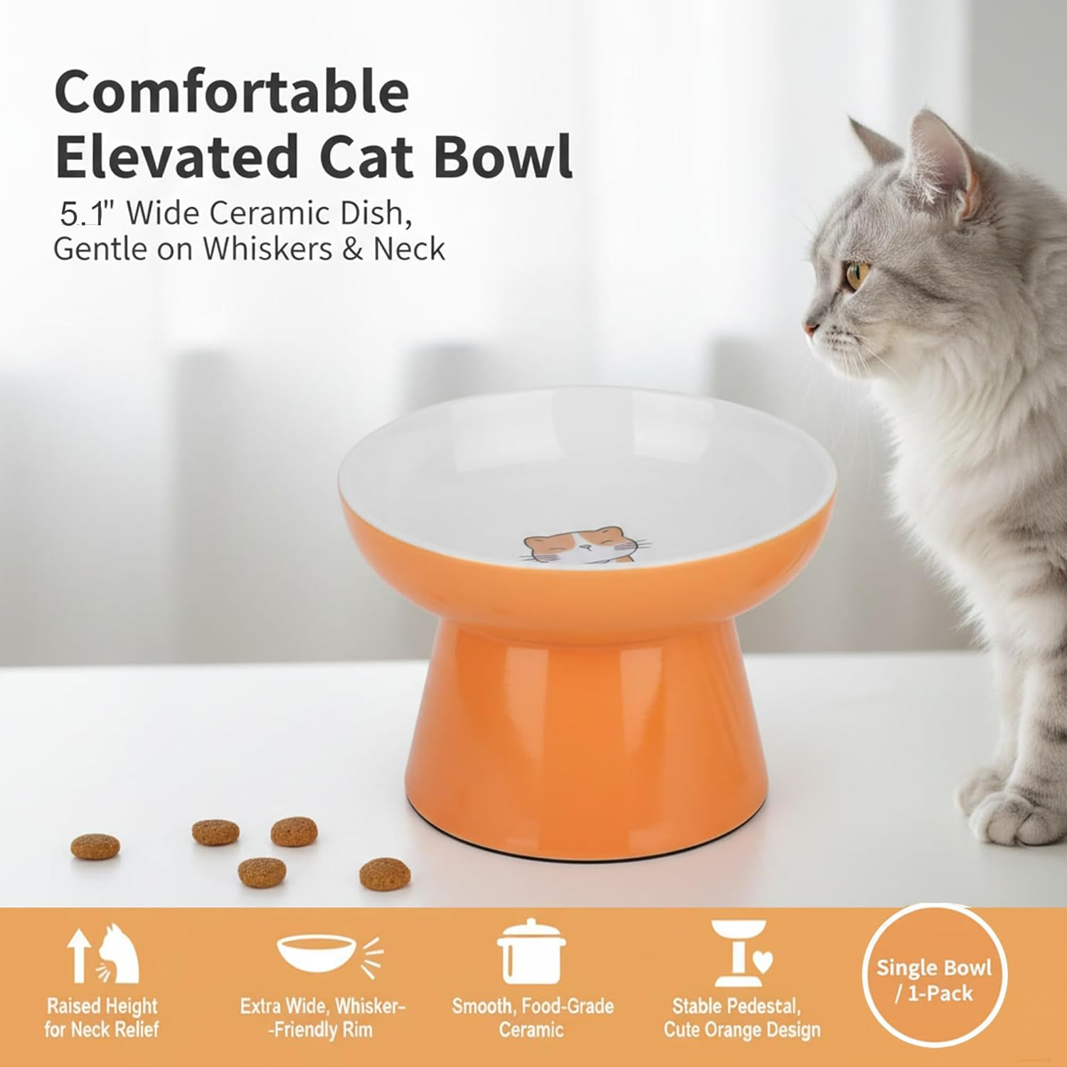 Elevated Shallow Ceramic Cat Bowl – Whisker Friendly, Anti-Vomiting