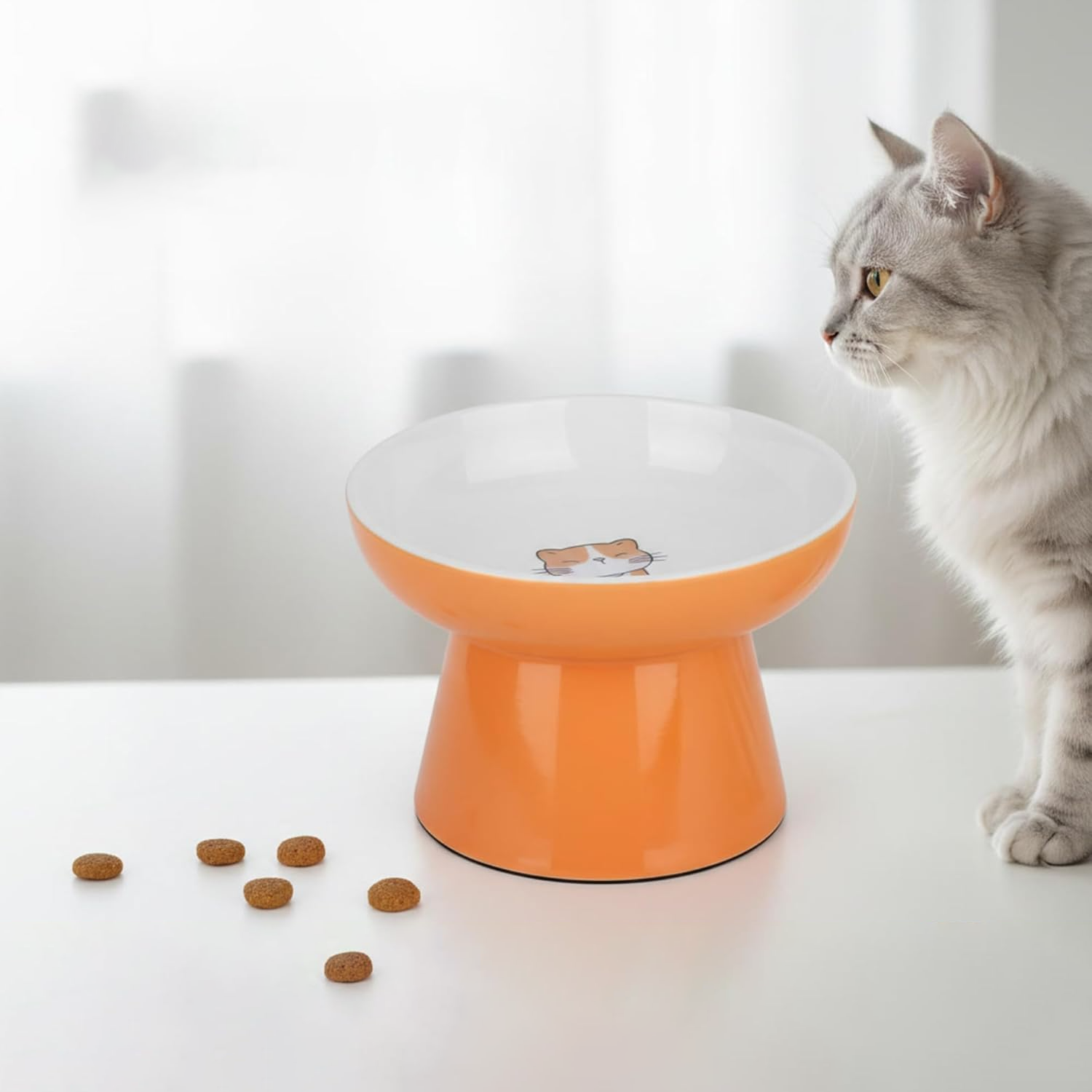 Elevated Shallow Ceramic Cat Bowl – Whisker Friendly, Anti-Vomiting