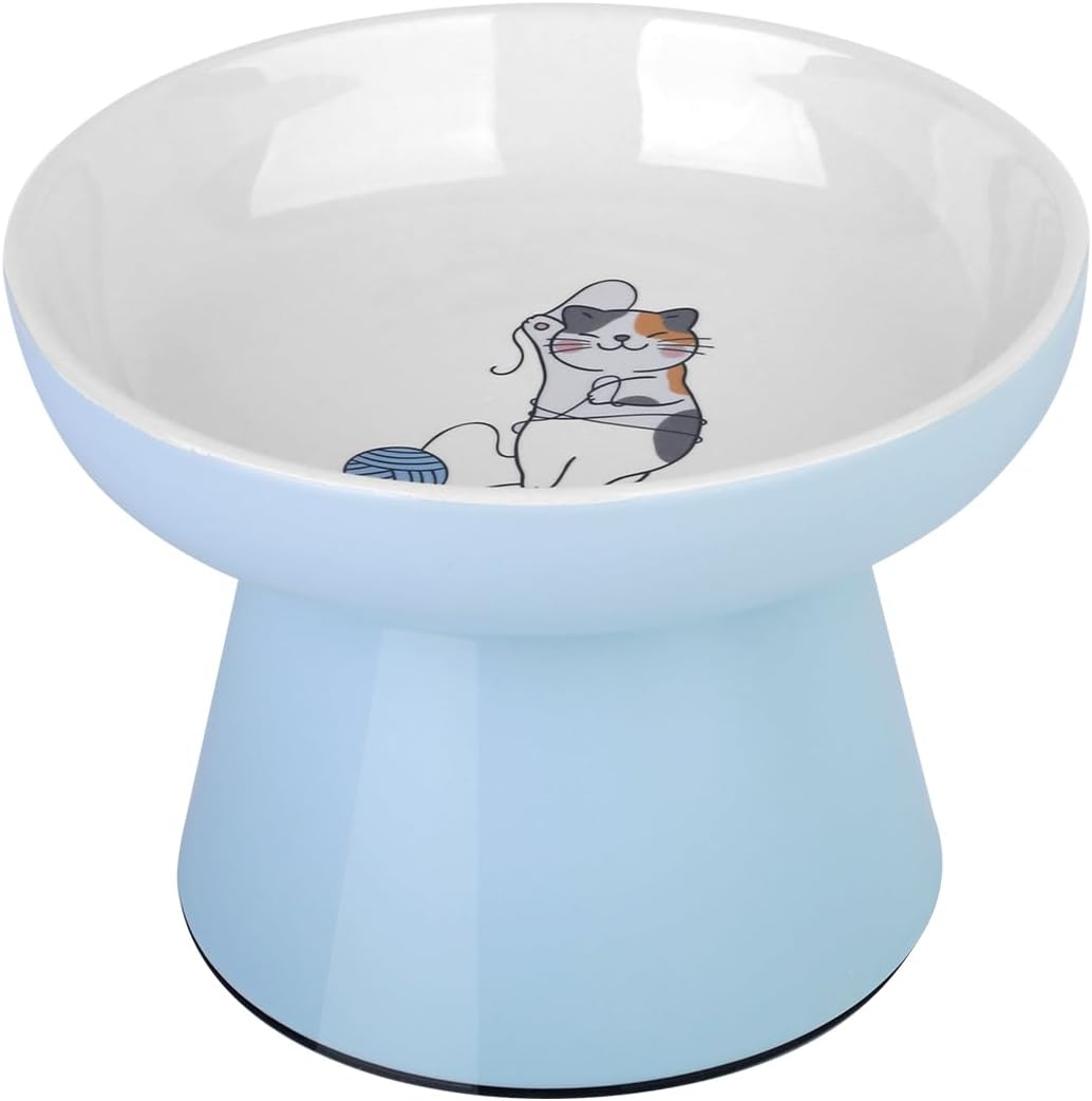 cat vomits after eating
