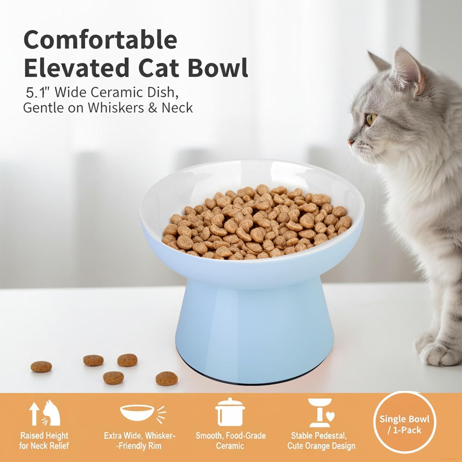 Cat Food and Water Bowl Set