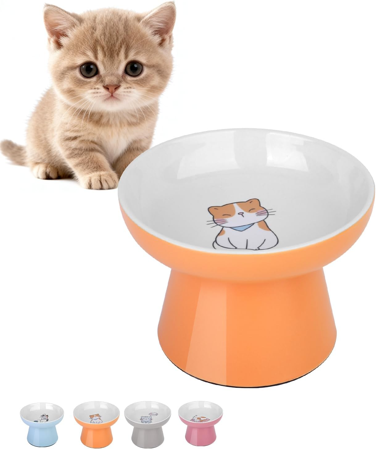 Cat Food and Water Bowl Set