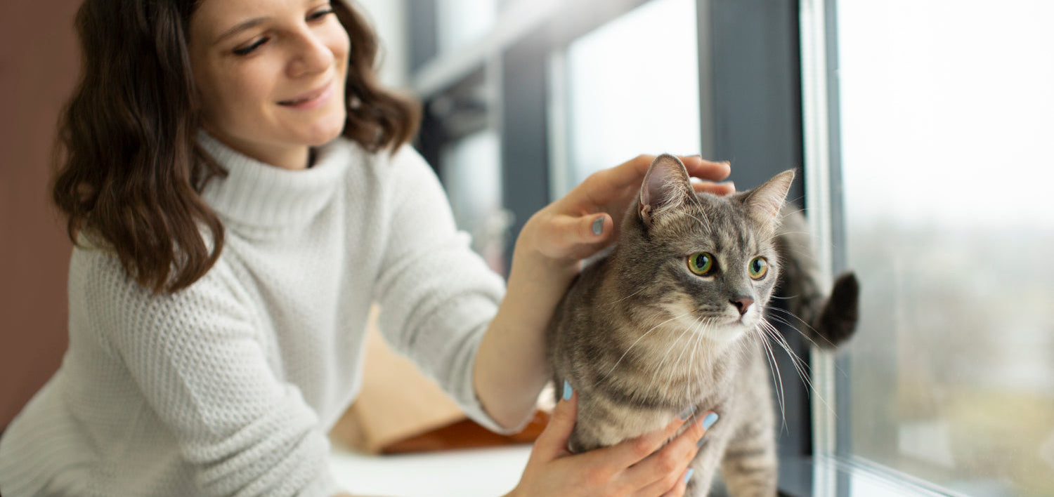 Smiling young woman gently petting a gray tabby cat on the windowsill, with an orange food bowl in front, cozy indoor moment